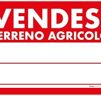 Avviso asta pubblica per l'alienazione di numero quattro terreni agricoli in località Braidamatta.