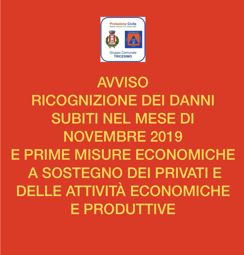 Eccezionali eventi  meteorologici del mese di novembre 2019 : ricognizione di danni subiti e prime misure economiche a sostegno dei privati e delle attività economiche  e produttive.